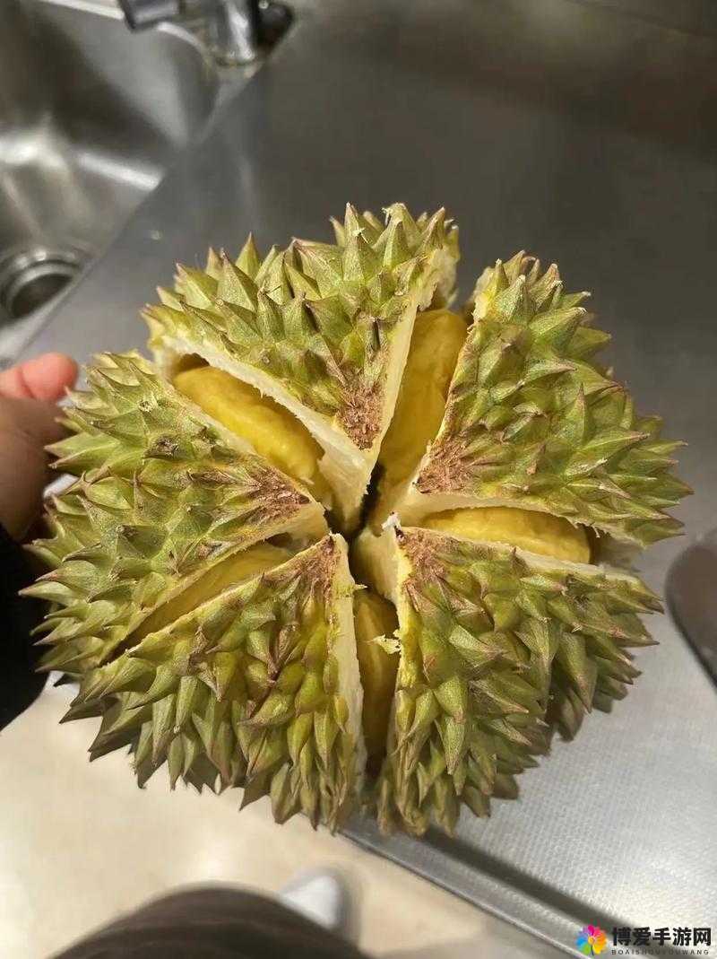 香蕉丝瓜草莓樱桃草莓榴莲多彩果香，品味热带水果之魅力——香蕉、丝瓜、草莓、樱桃与榴莲的奇妙之旅-第2张图片