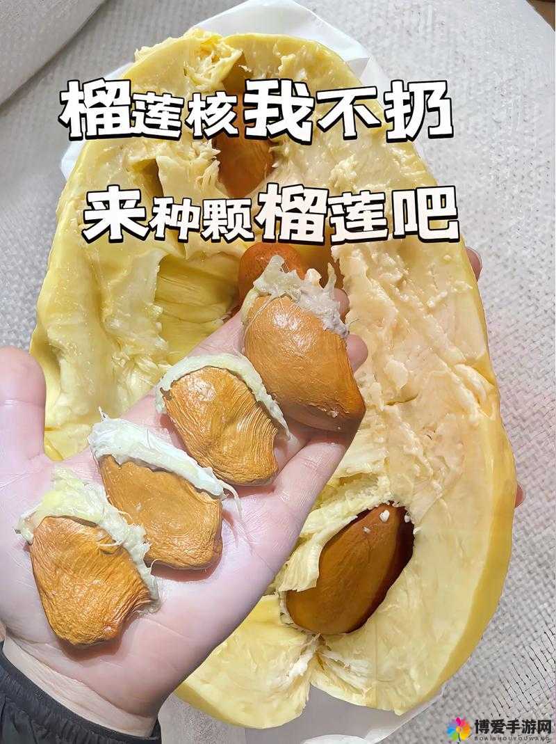 在线观看各类水果视频，草莓、榴莲、向日葵、秋葵、香蕉等免费畅享