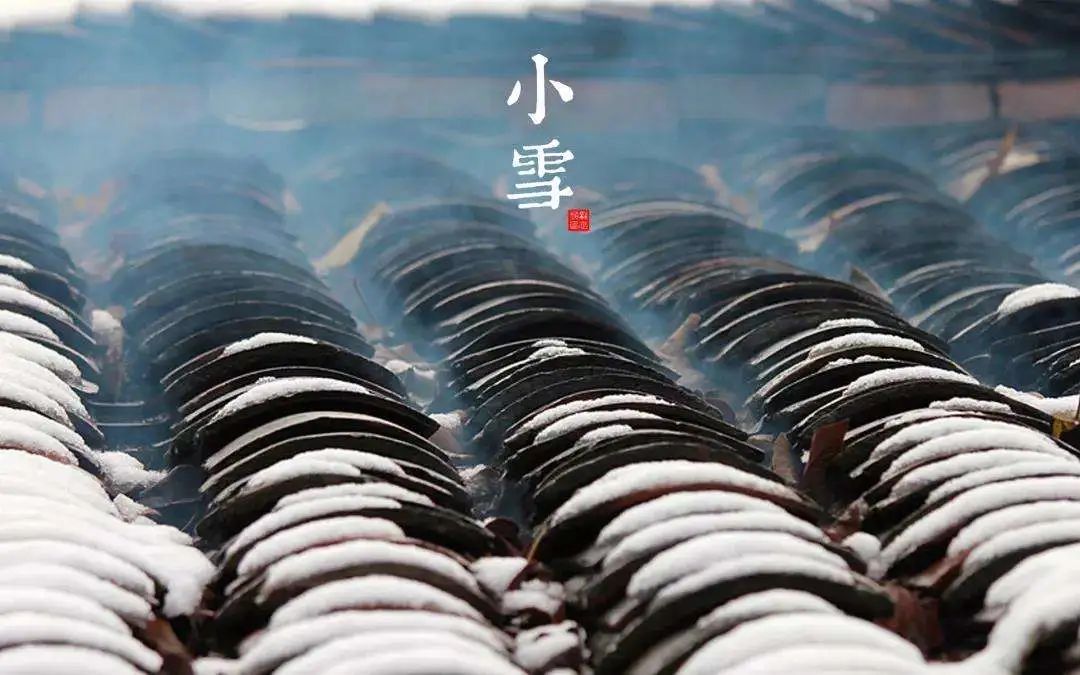办公室中的小雪之乐-第2张图片