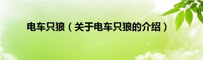 电车之狼游戏攻略视频电车之狼小游戏，一场刺激与冒险的旅程-第1张图片