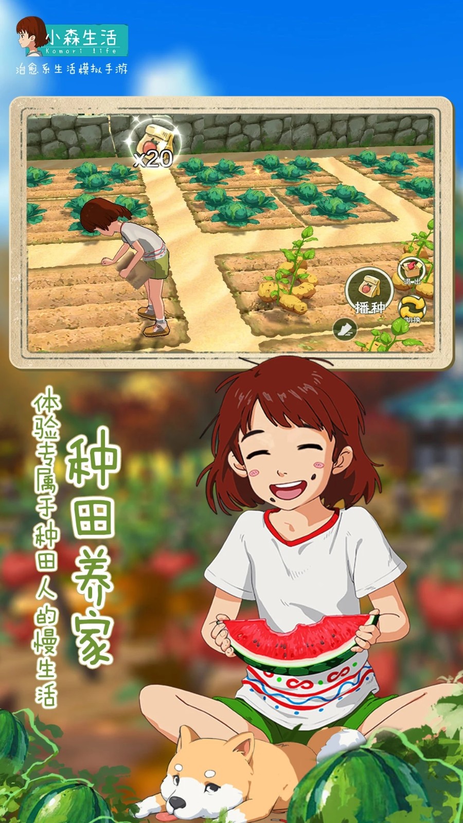 小森生活制作抗黑帽子小森生活制作抗黑帽子的秘诀