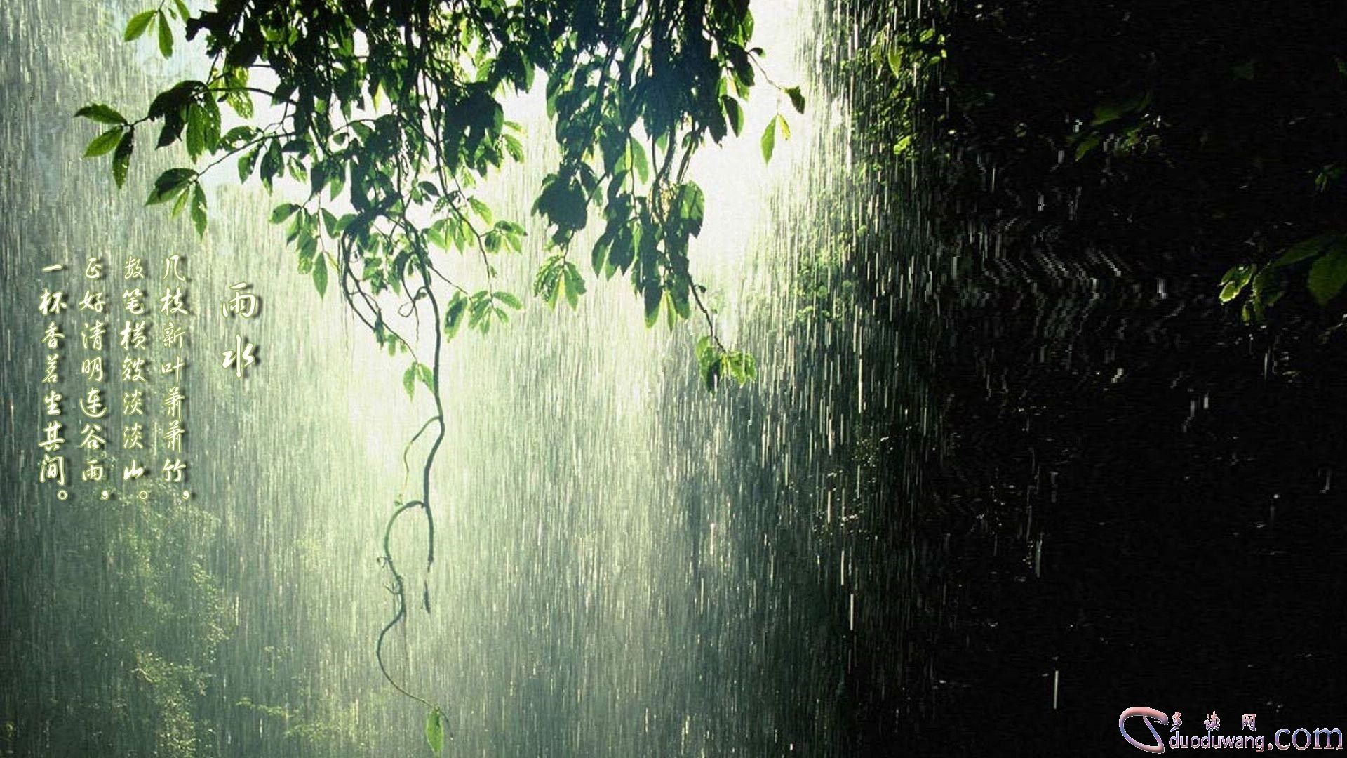 春雨直播在线观看高清视频网站春雨直播，在线观看高清视频的全新体验