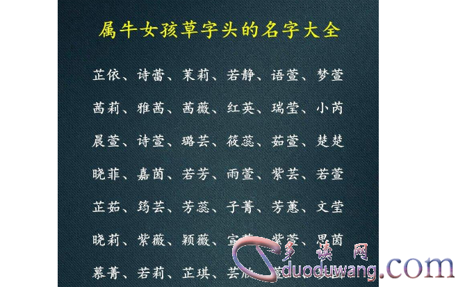 猫咪的最新地域网名，3336的神秘故事