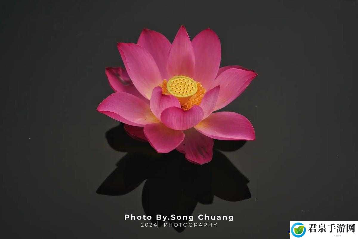女性半夜莲花开什么意思女性半夜莲花开的深层含义-第2张图片