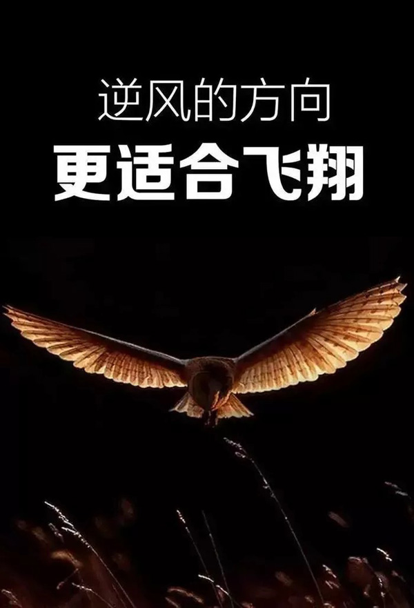 直接进入的免费正能量直播软件下载直接进入的免费正能量直播软件——探索心灵充电的全新途径-第2张图片