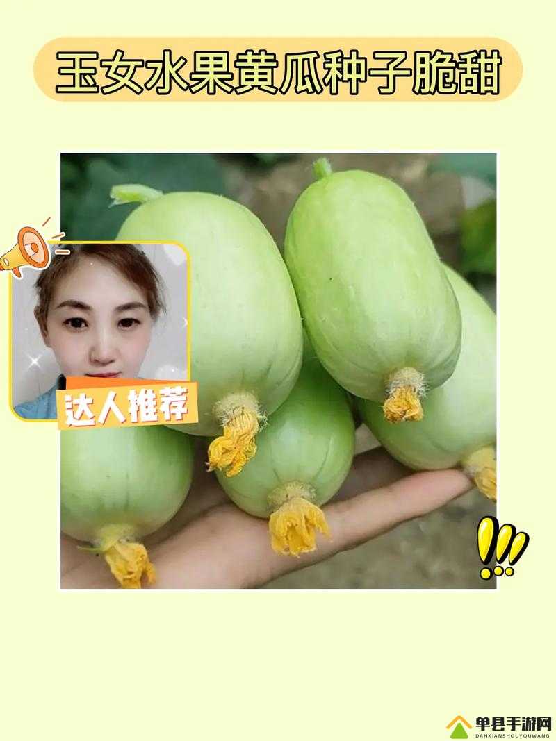 草莓丝瓜草莓丝瓜的奇妙之旅-第2张图片
