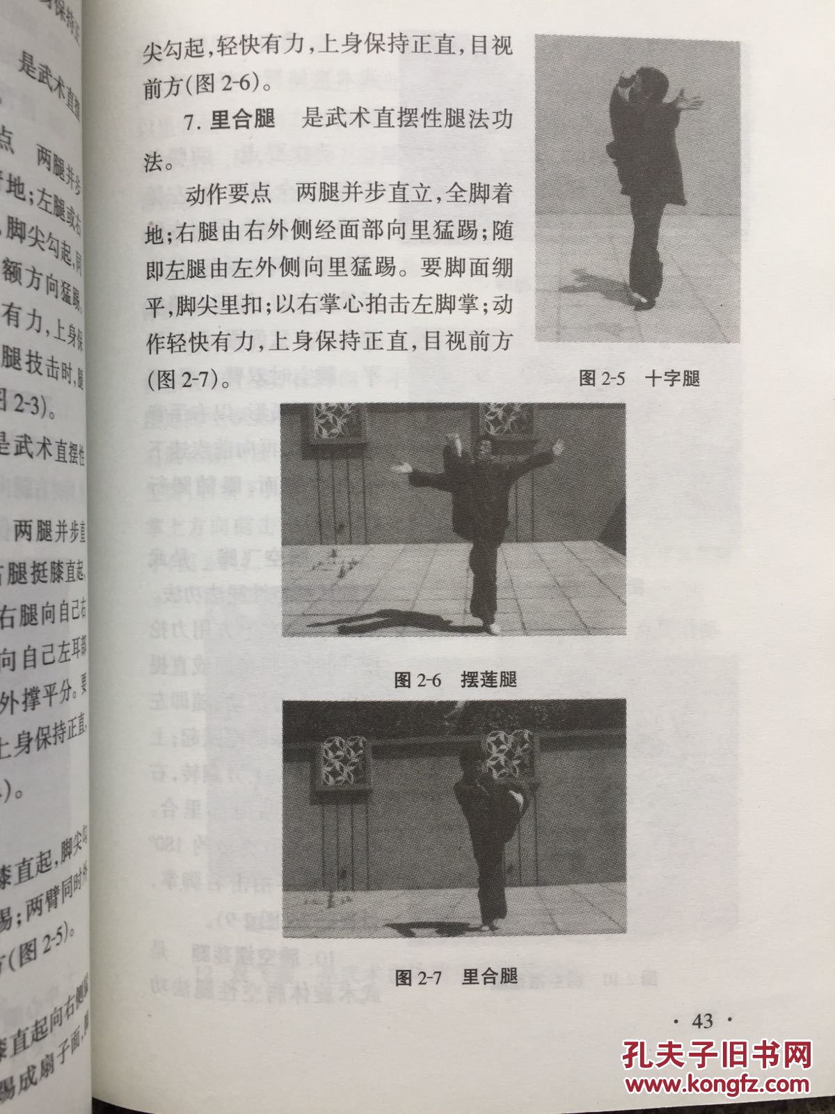 夫子的试练夫子的试练，智慧之路的挑战
