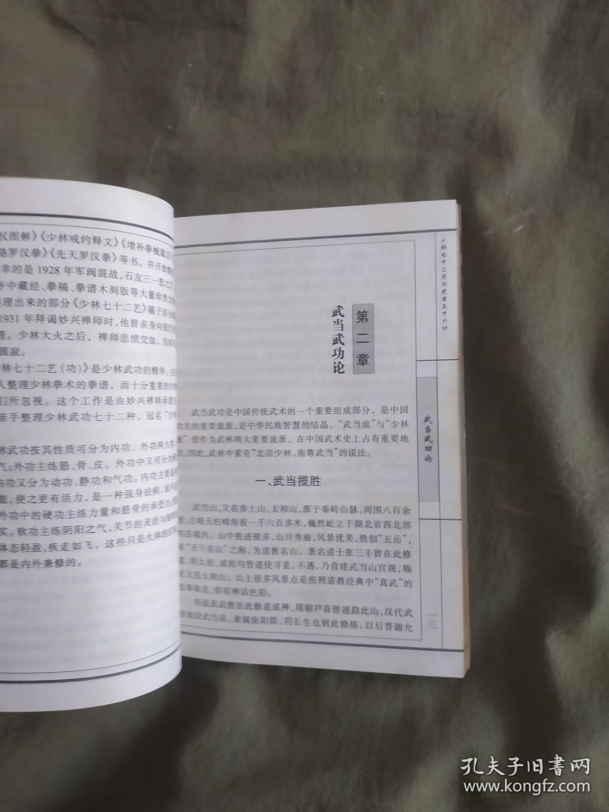 东莞三十六式价位多少东莞三十六式图解，传统武术的魅力与深度解析-第2张图片