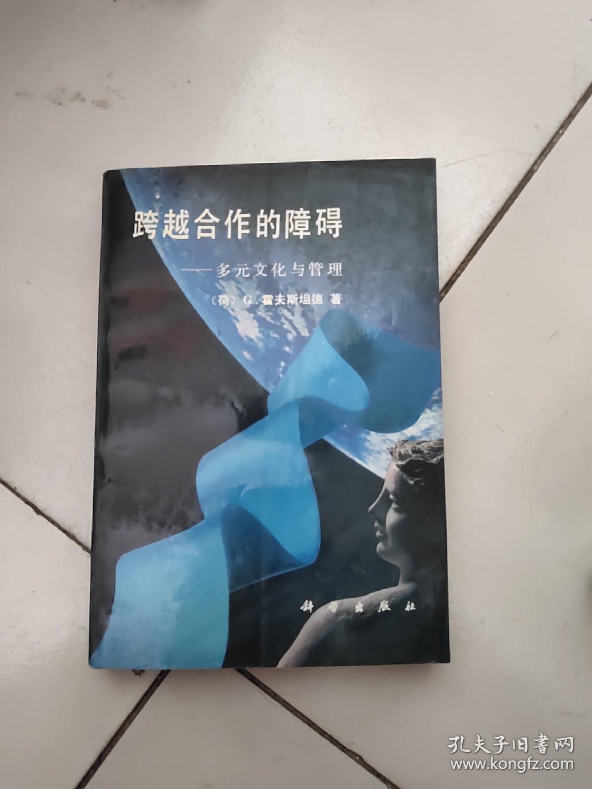 亚洲 欧洲 视频 伦小说跨越亚洲与欧洲的多元文化交流——视频与欧洲风格伦小说探析