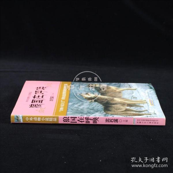 狼国导航狼国导航——探索未知的旅程-第3张图片