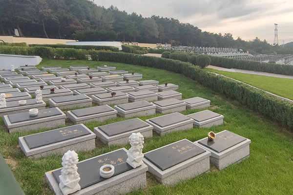 第四色婷婷墓地，一段深情的追思-第3张图片
