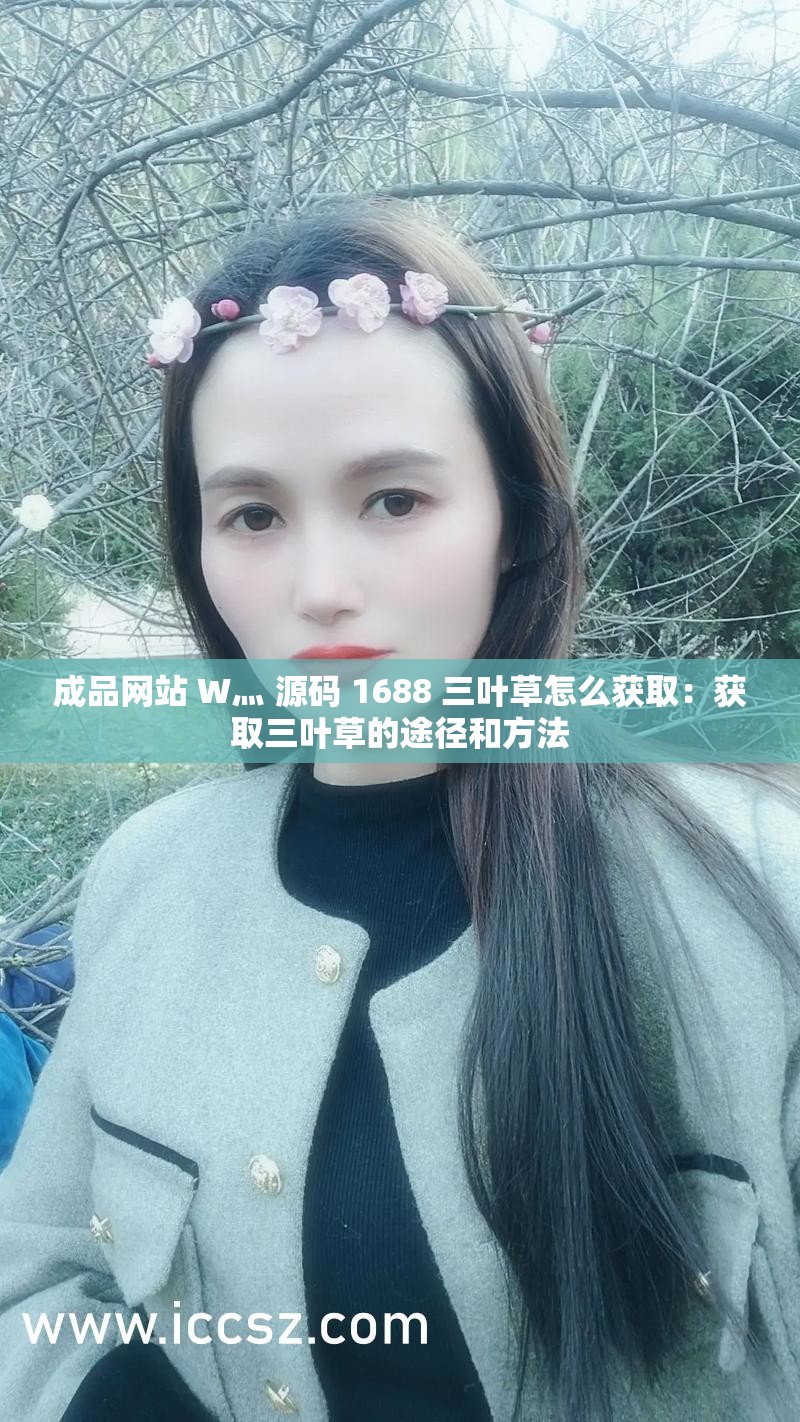 51成品网站W灬源码1688的探索与解析-第2张图片