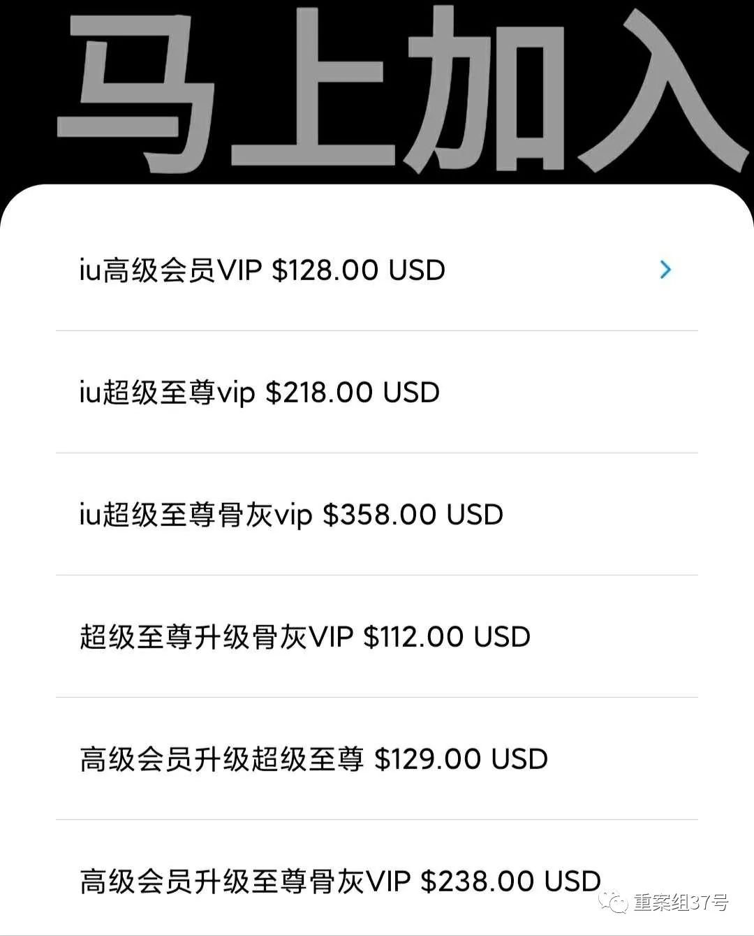 关于黄色网战下载的深度解析-第2张图片