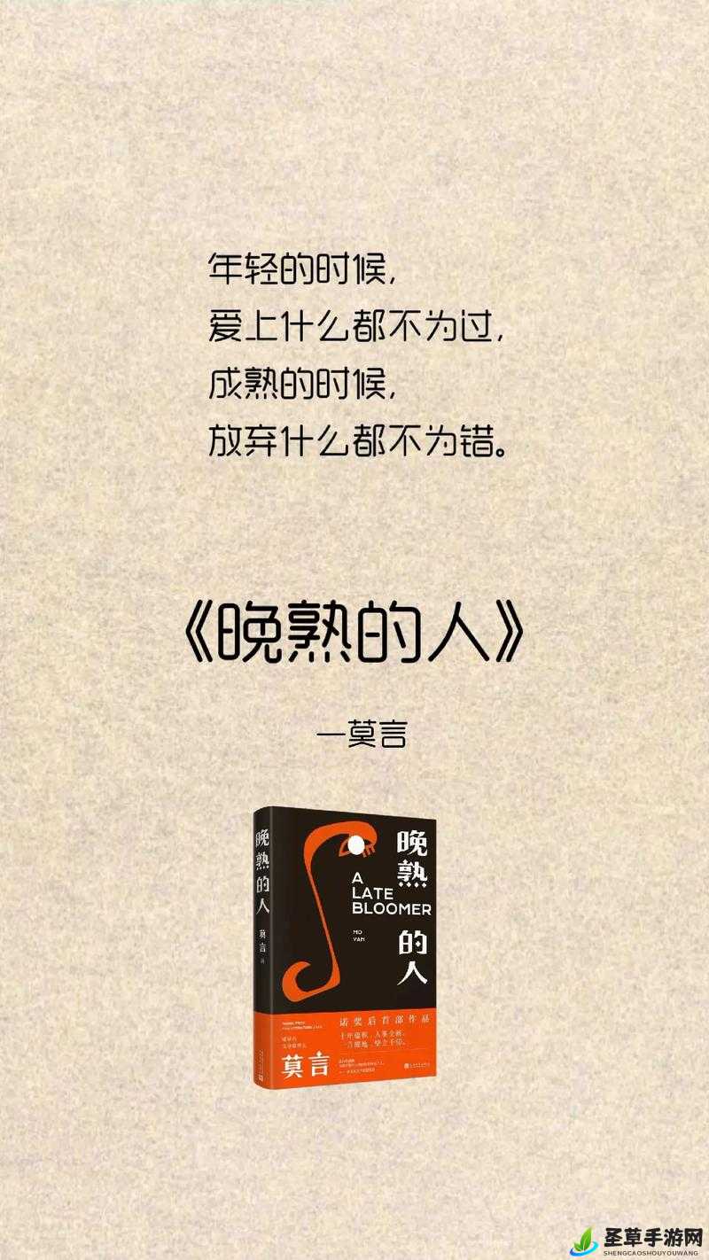果冻传媒网在线看果冻传媒52部在线观看，探索与体验-第2张图片