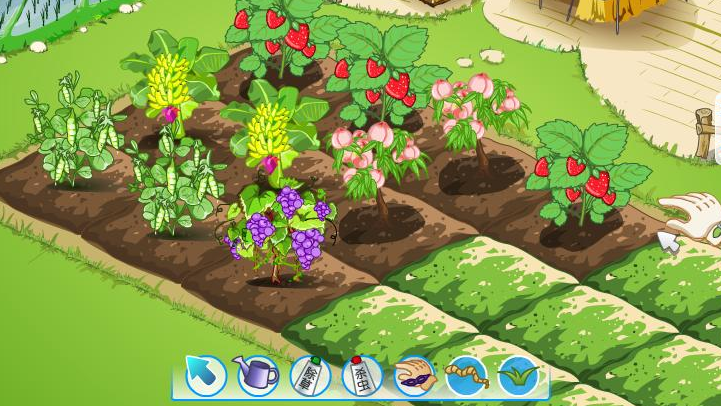 QQ农场更新，开启全新种植时代-第2张图片
