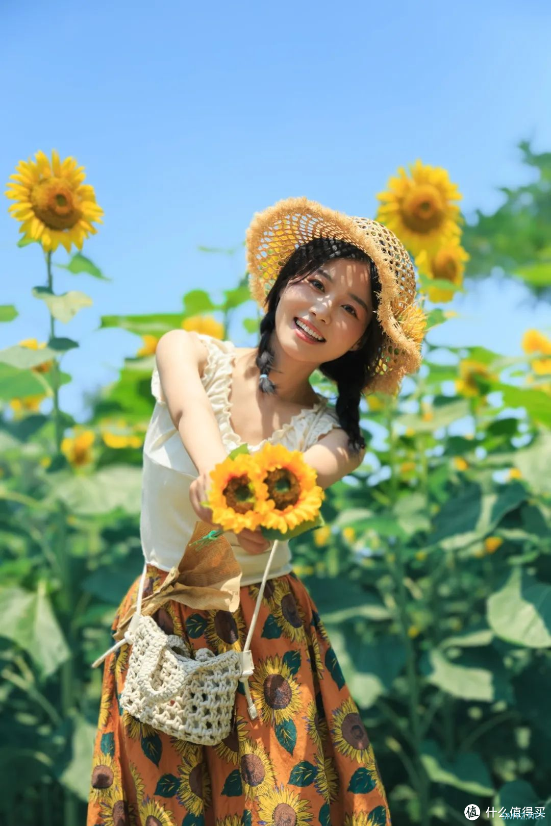 黄瓜和向日葵夏日五宝，向日葵、西瓜、黄瓜、丝瓜与葫芦的丰收之歌-第3张图片