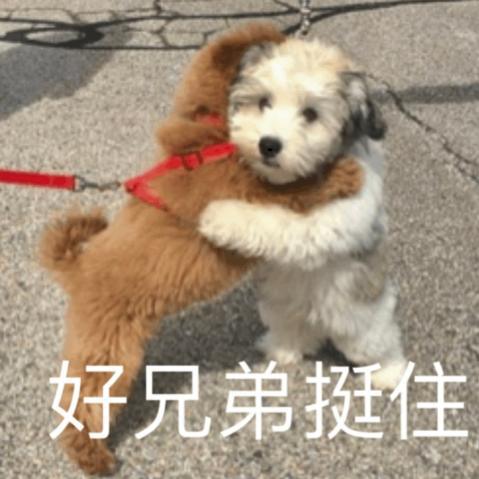 啪一啪啪一啪的奇妙世界-第2张图片