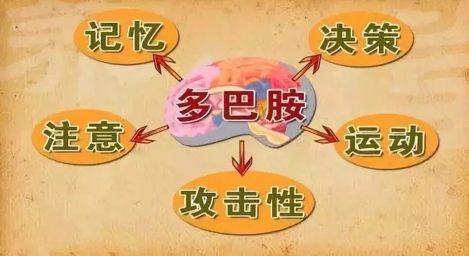 性虎时光性虎时光，探索性健康与愉悦的旅程-第3张图片