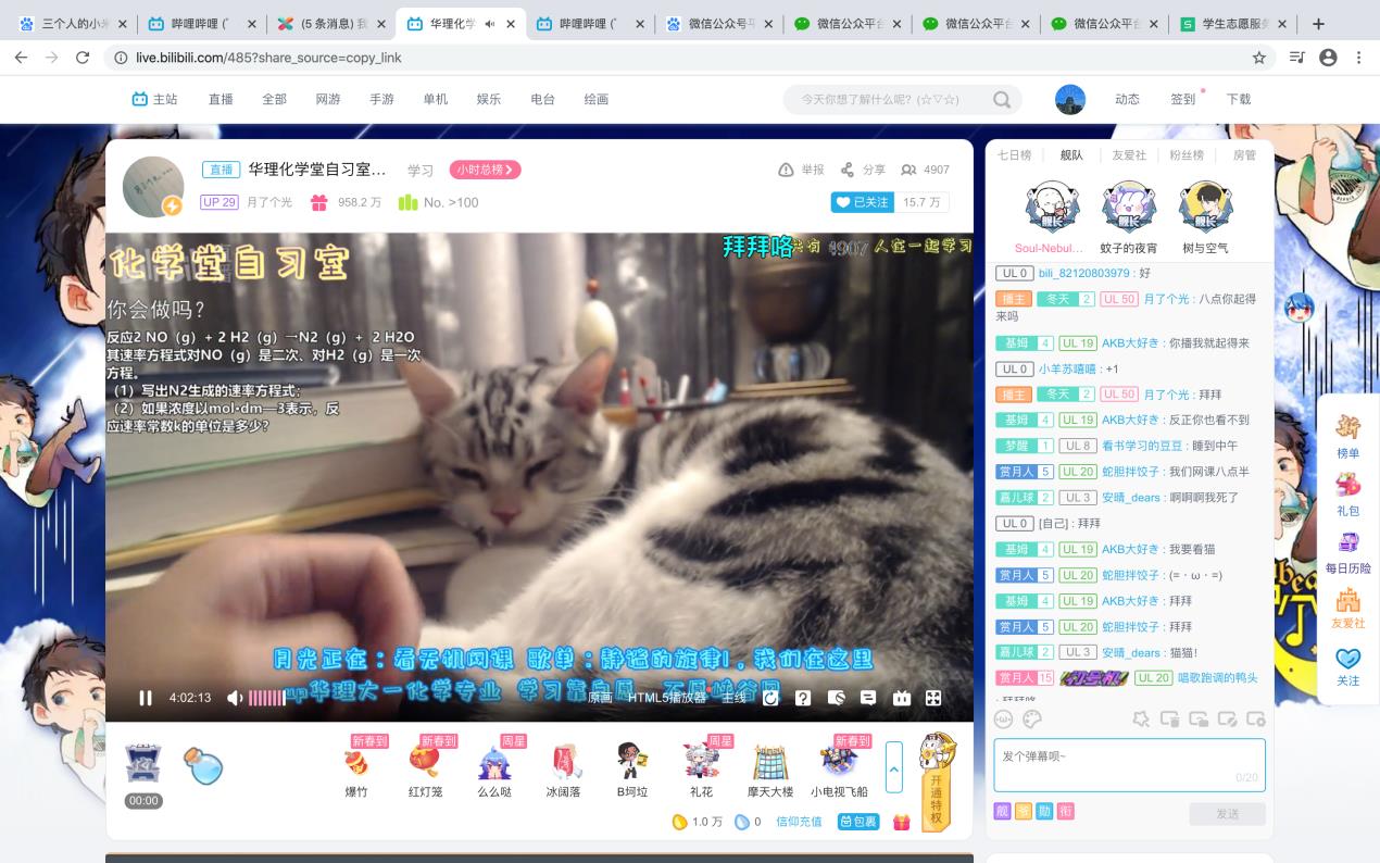 b站怎么看直播回放全部弹幕B站直播回放观看指南