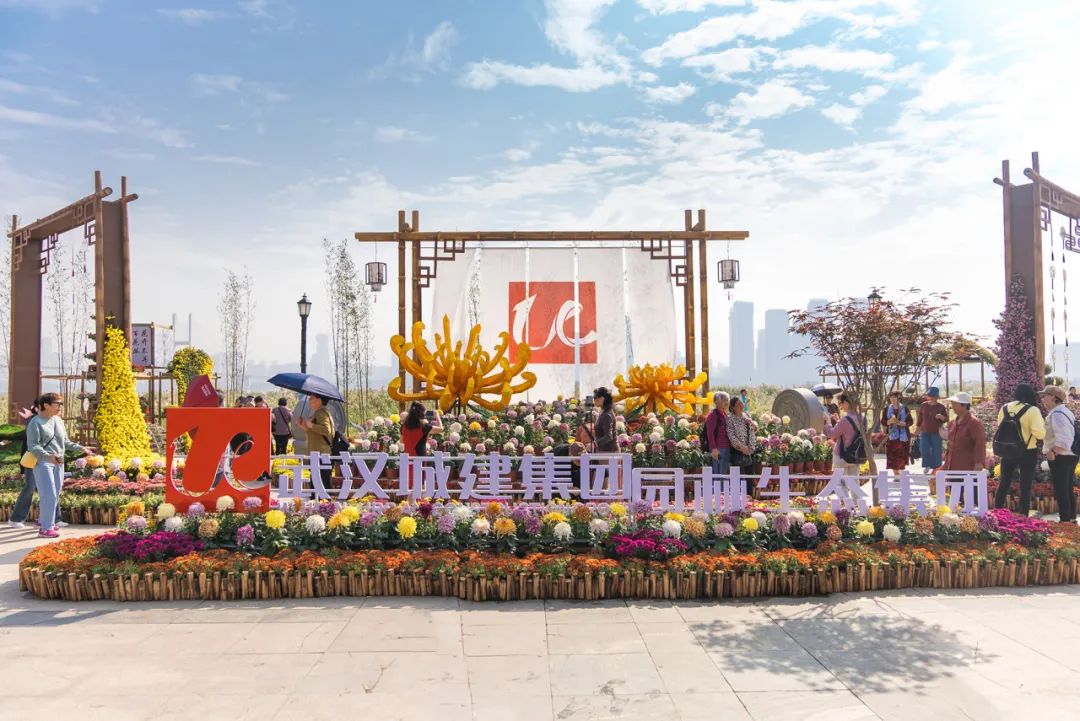 可以进你的后花园吗免费观看邀您共赏后花园的美丽
