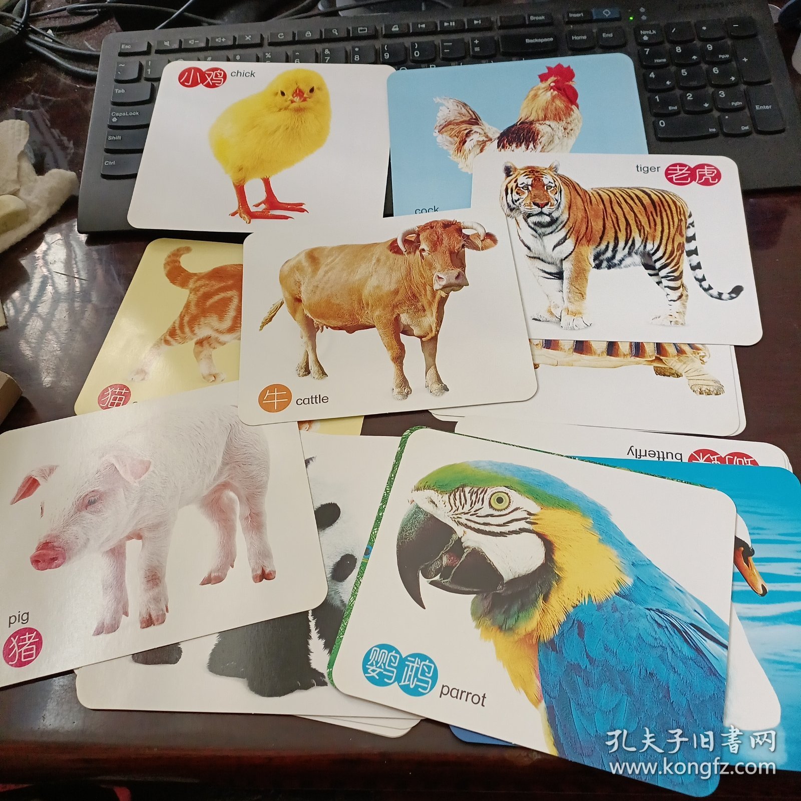精品一卡二卡三卡四探索精品一卡二卡三卡四的魅力世界-第2张图片