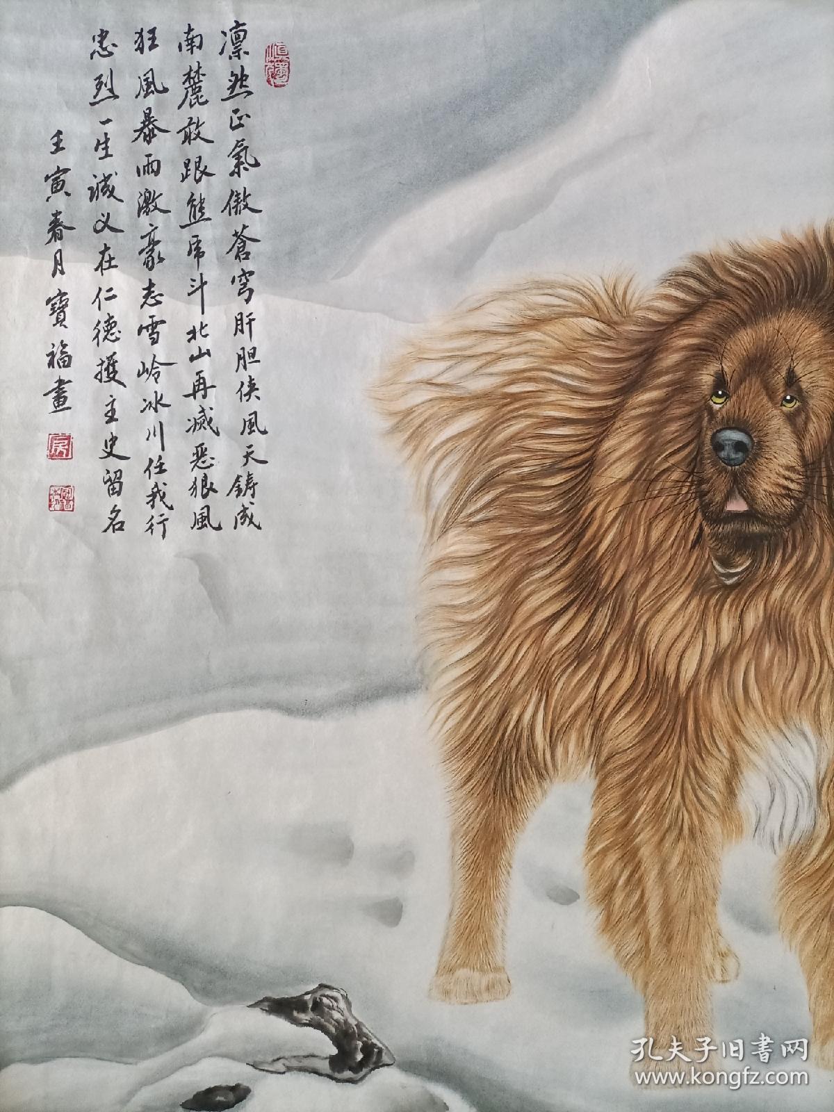 张柔和两只藏獒的守护之歌-第2张图片