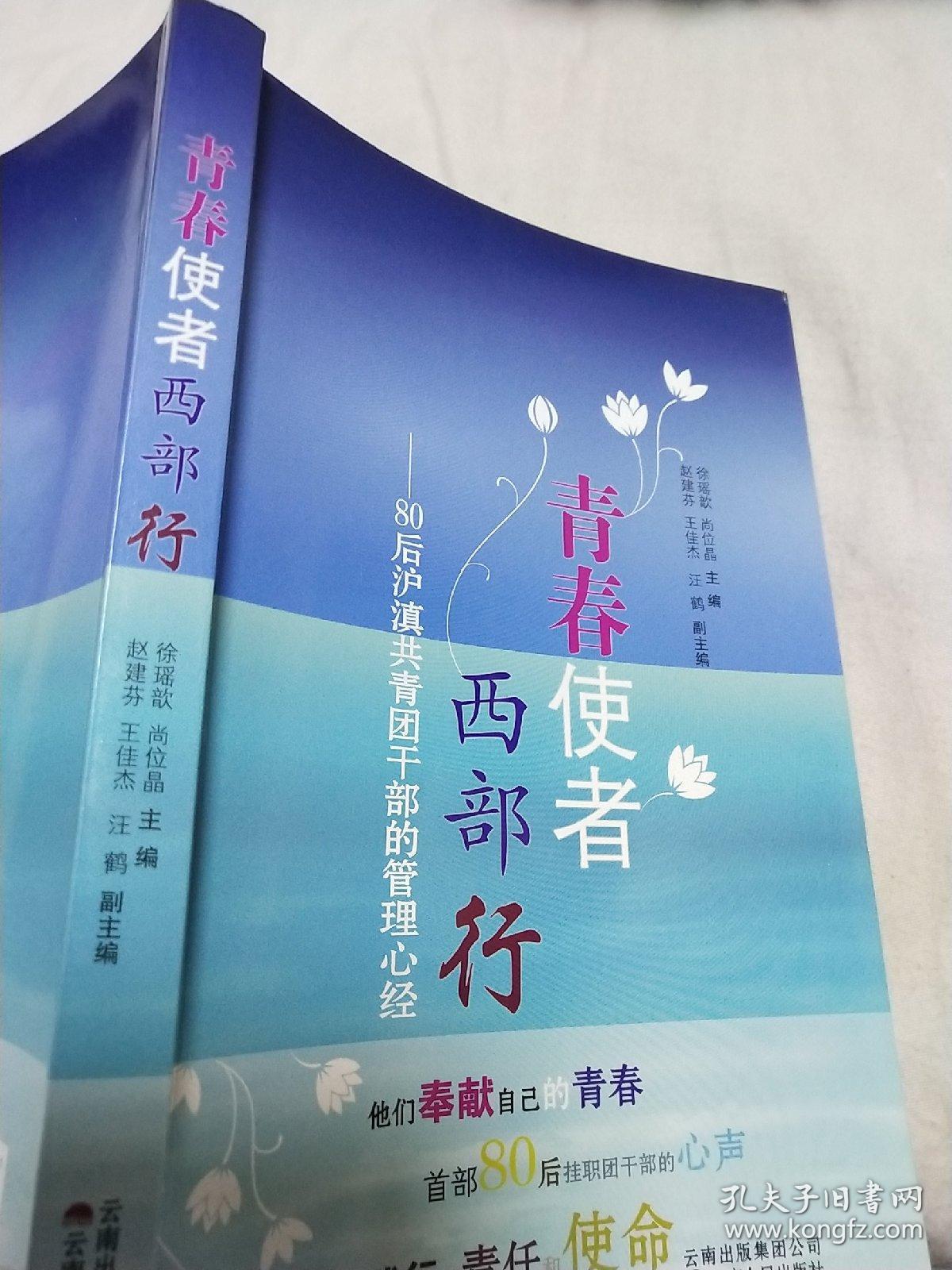 青春使者的璀璨之旅-第2张图片