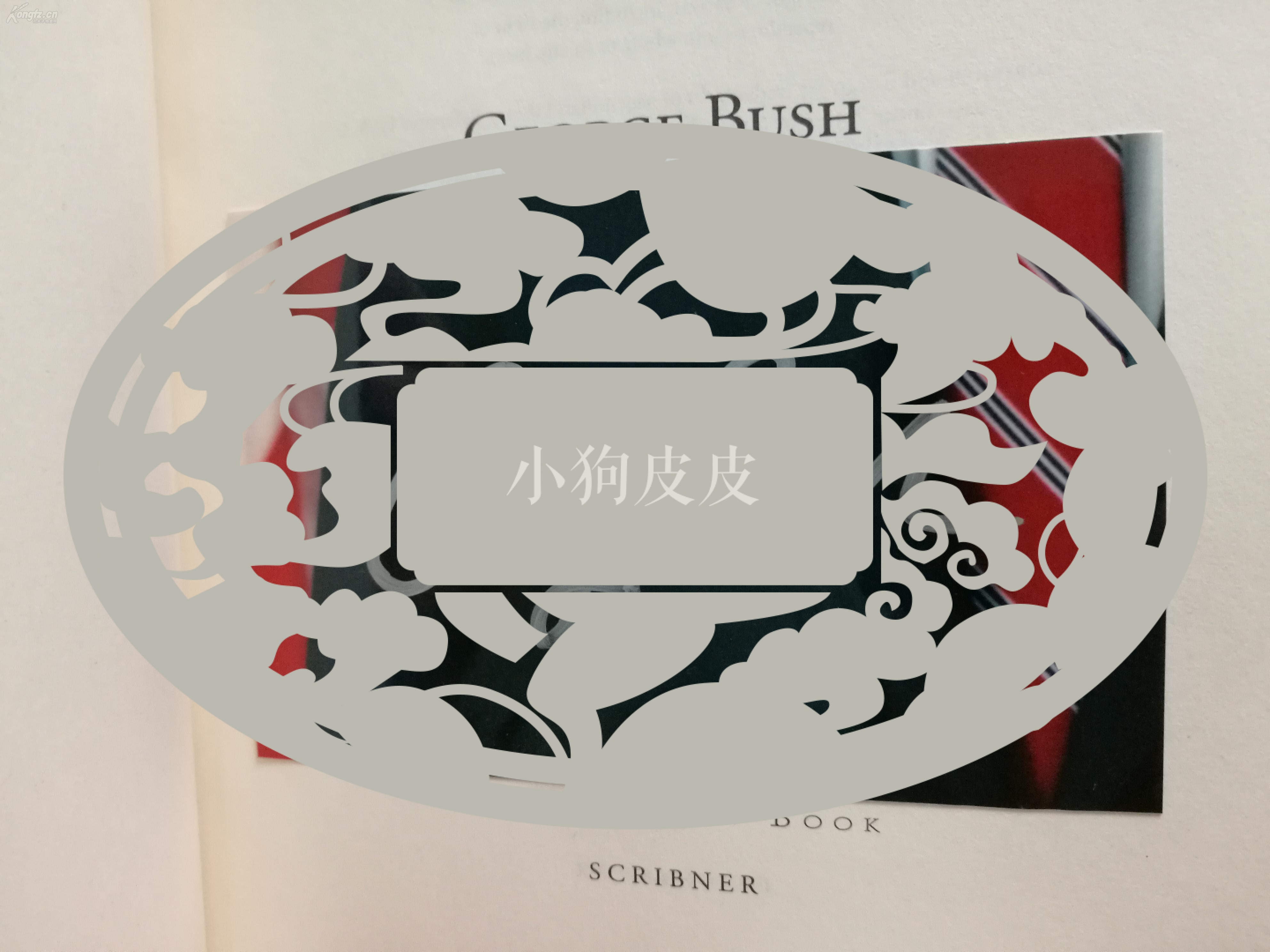 麦吉的改造沙漠风暴，绿色革命的奇迹-第1张图片