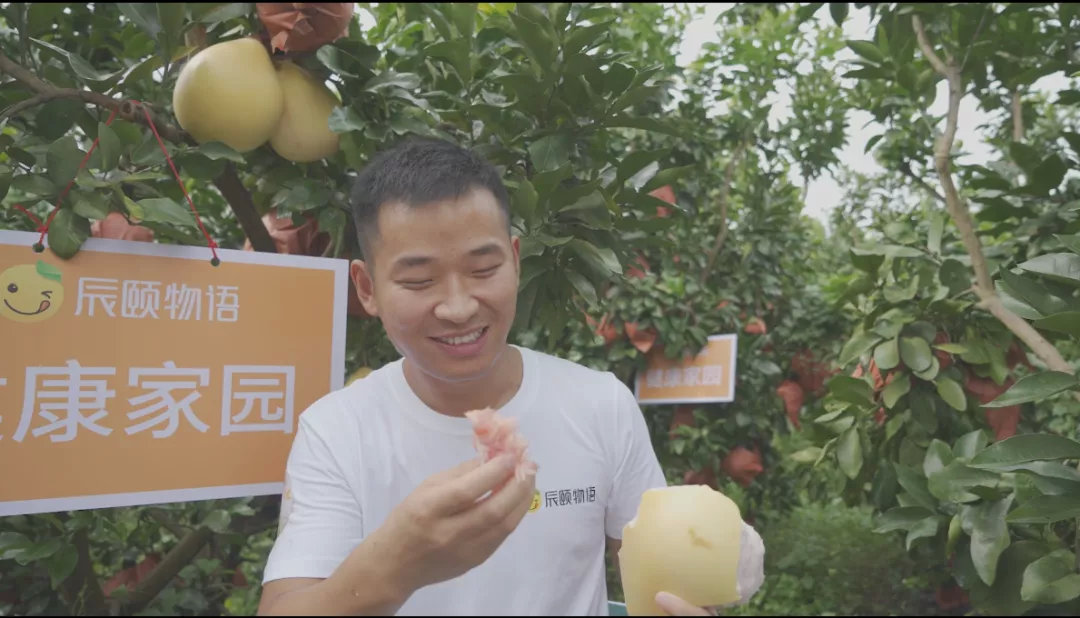 蜜柚直播app软件下载安装蜜柚直播APP软件下载指南-第2张图片