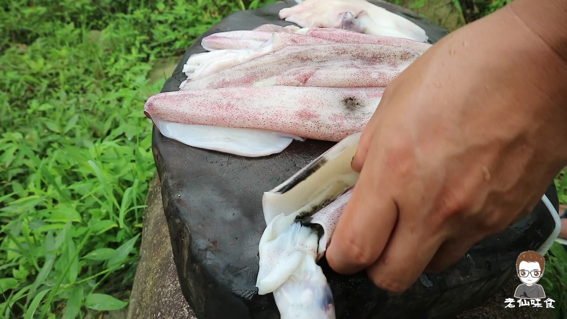 鱿鱼视频，在线免费观看最新内容-第1张图片