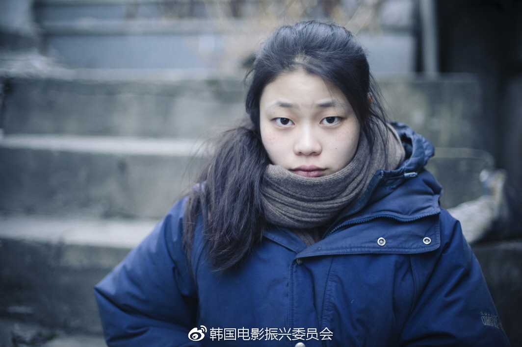 探索野花社区，免费观看韩国视频的体验