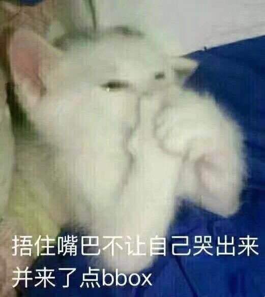 BBOX撕裂BASS孕妇欢迎您!欢迎您！探索BBOX的魅力，撕裂BASS的深度，与孕妇共度美好时光-第3张图片