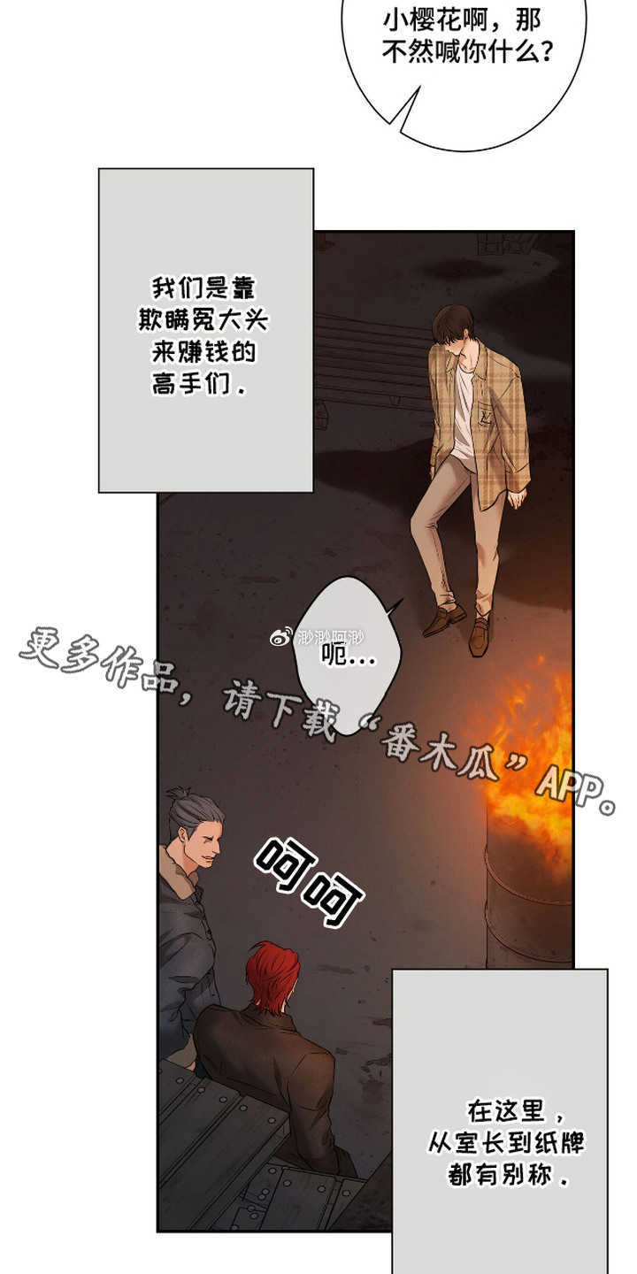 樱花动漫成人隐藏入口在线观看探索樱花动漫成人隐藏入口，深度解析与注意事项