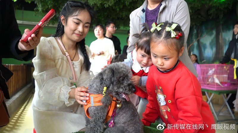 探索大胆的湿户之旅，毛茸茸的奇妙体验-第2张图片