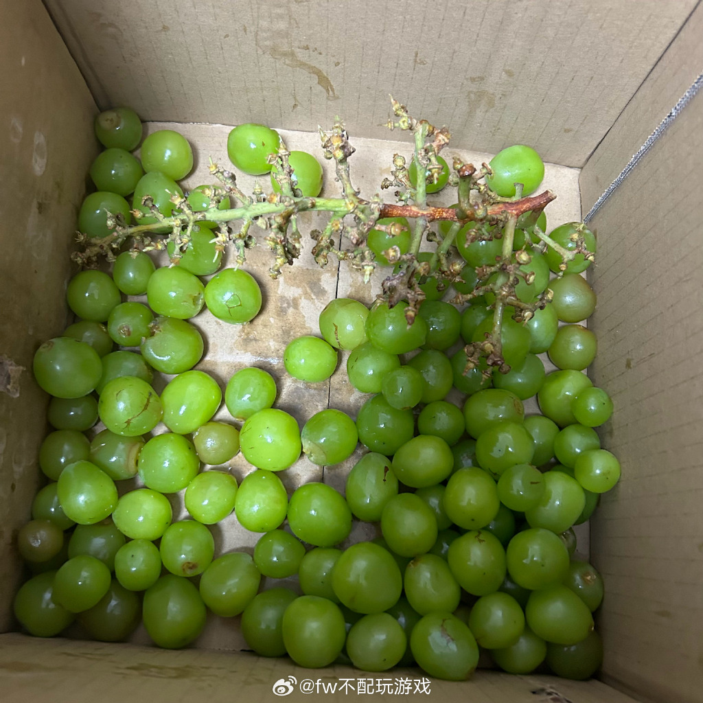 葡萄不能夹烂也不能掉出来吗葡萄的巧妙夹持，如何确保葡萄不夹烂且不掉出-第1张图片