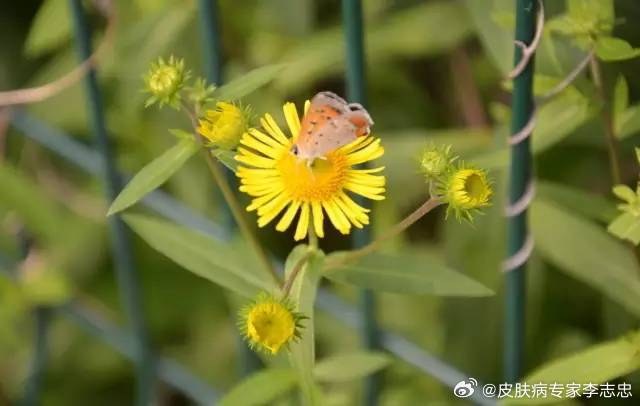 久草操久草操的内涵与价值-第3张图片