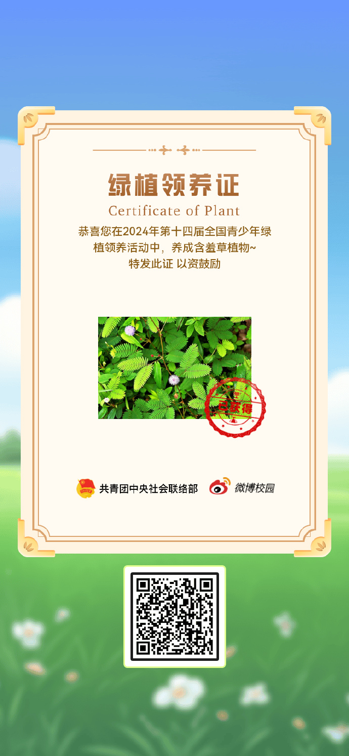 含羞草传媒2024年最新招聘含羞草传媒在2024年的发展与创新-第2张图片