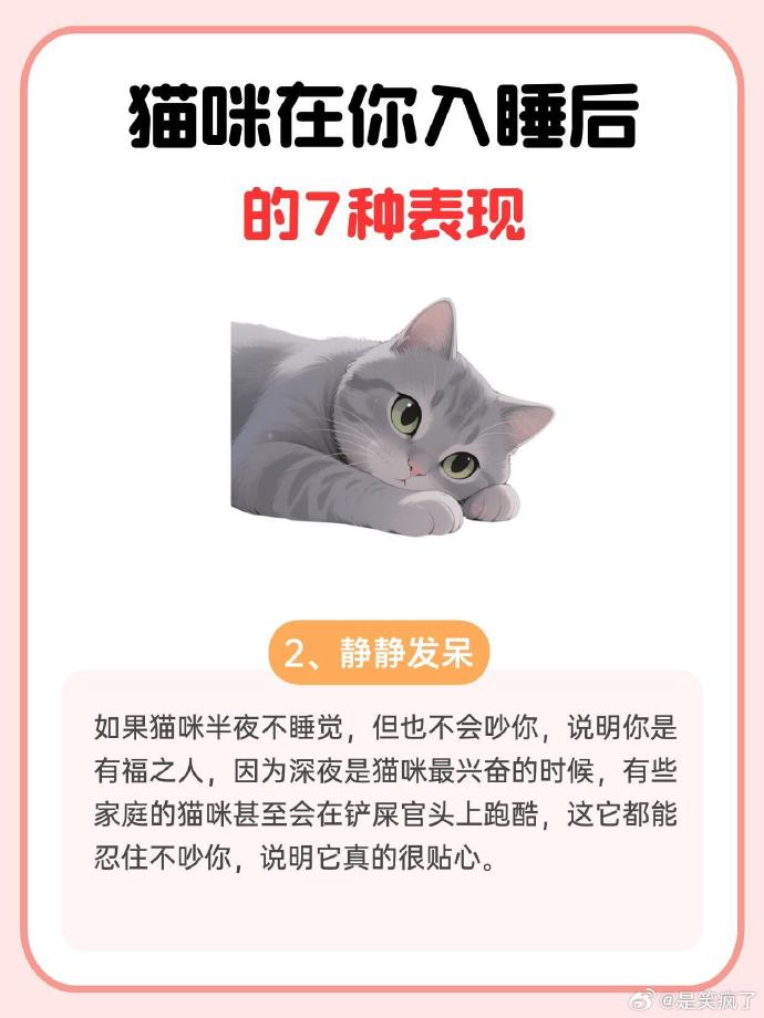 带着跳d入睡的奇妙体验-第1张图片