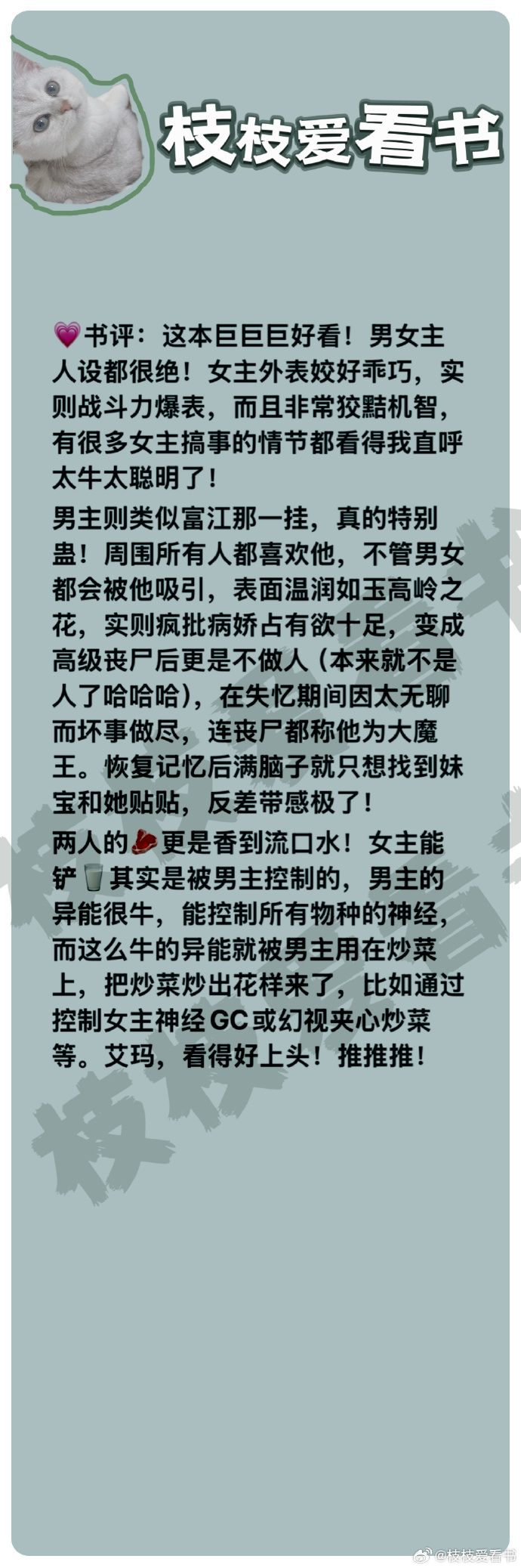 长篇篇乱系列小说合集，探寻人性的多元与生活的多彩-第1张图片