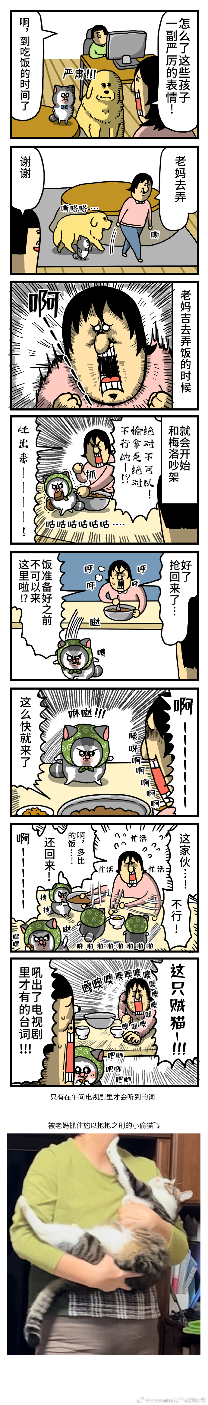 成人漫画连载国产成人漫画连载，探索艺术与故事的交汇点