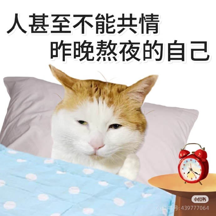 晚上睡不着瞅瞅看点B站深夜的探索，B站，伴我入眠的良药-第2张图片