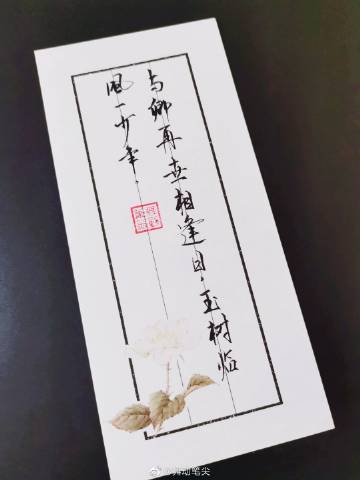 337VT，最大的人文艺术平台-第1张图片