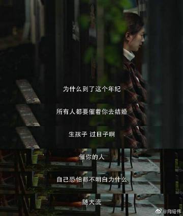 小向美奈子种子小向美奈子与种子的奇妙之旅-第2张图片