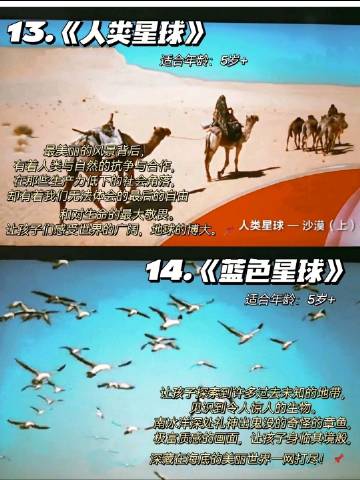 我要搞网页版登录我要搞B——探索未知的挑战与自我突破-第2张图片