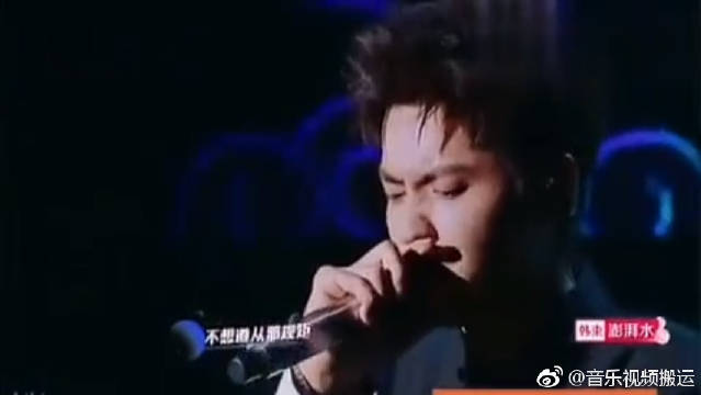 樱花官网官方入门指南，探索网页版之魅力