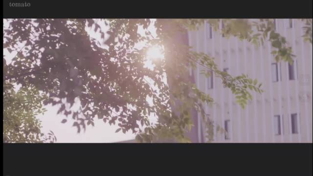 探索果冻传媒九一制片厂免费资源之旅