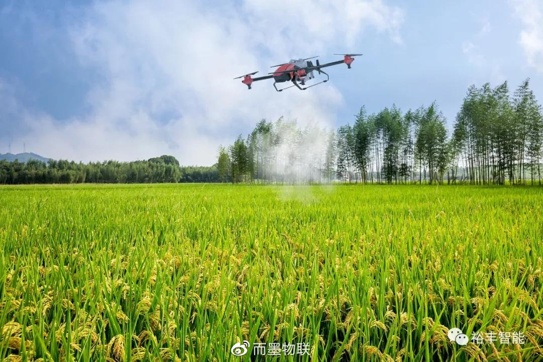 农夫网站导航大全，探索农业的数字世界