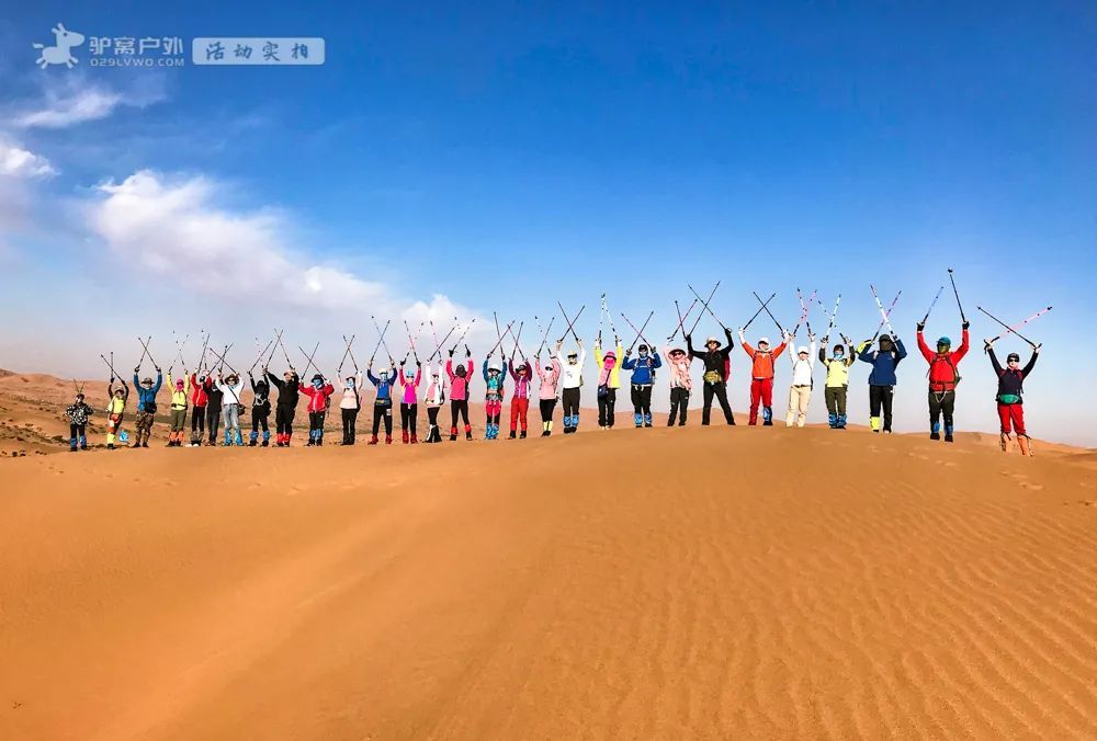 杨和苏最后的狂欢集数揭秘-第2张图片