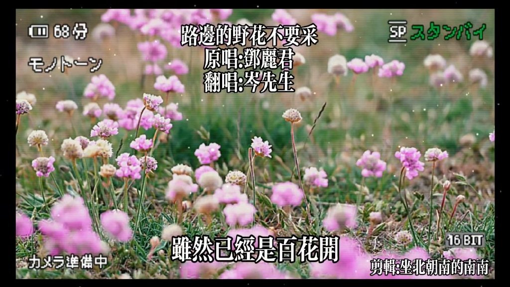 野花视频在线观看 - official website野花社区高清视频免费观看指南