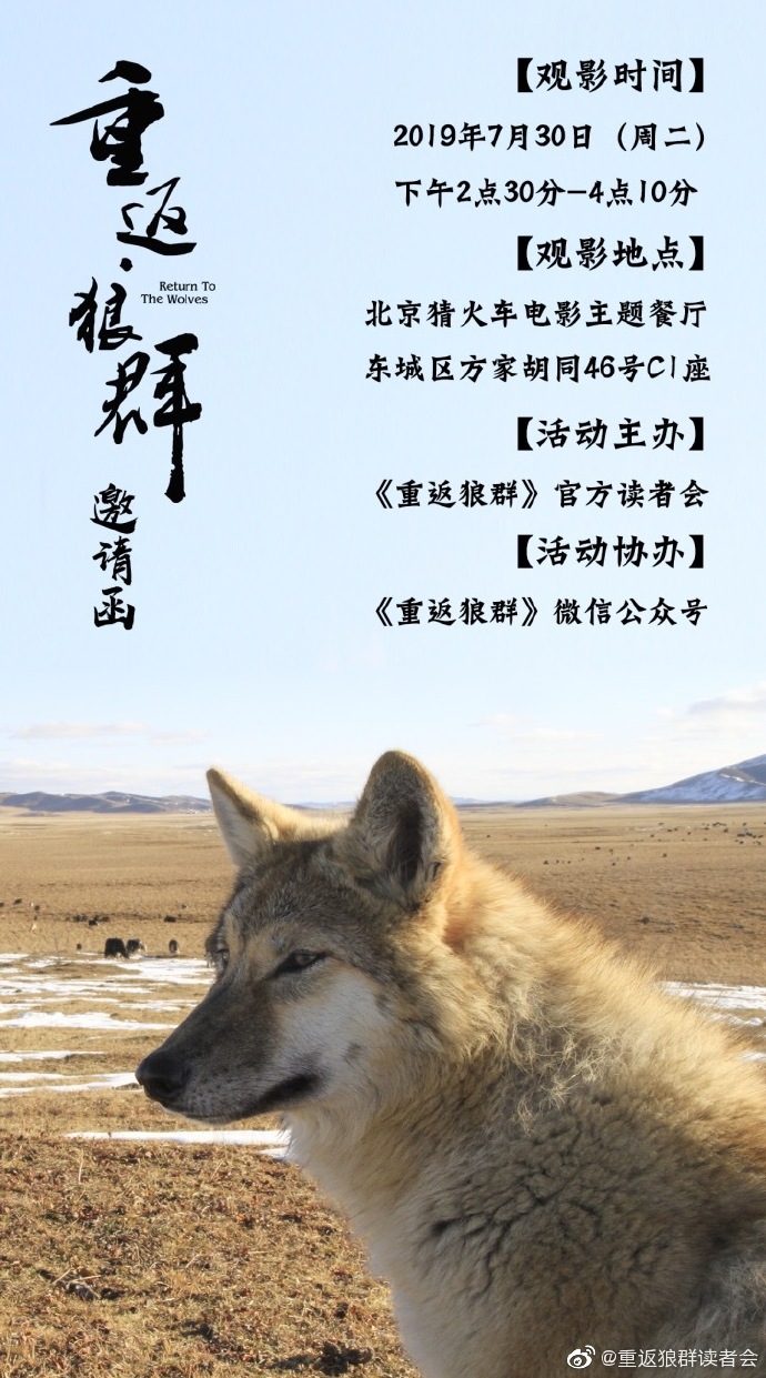狼群影院官网在线观看视频狼群影院官网，在线观看的全新体验